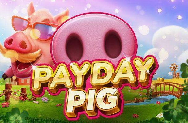 Payday Pig